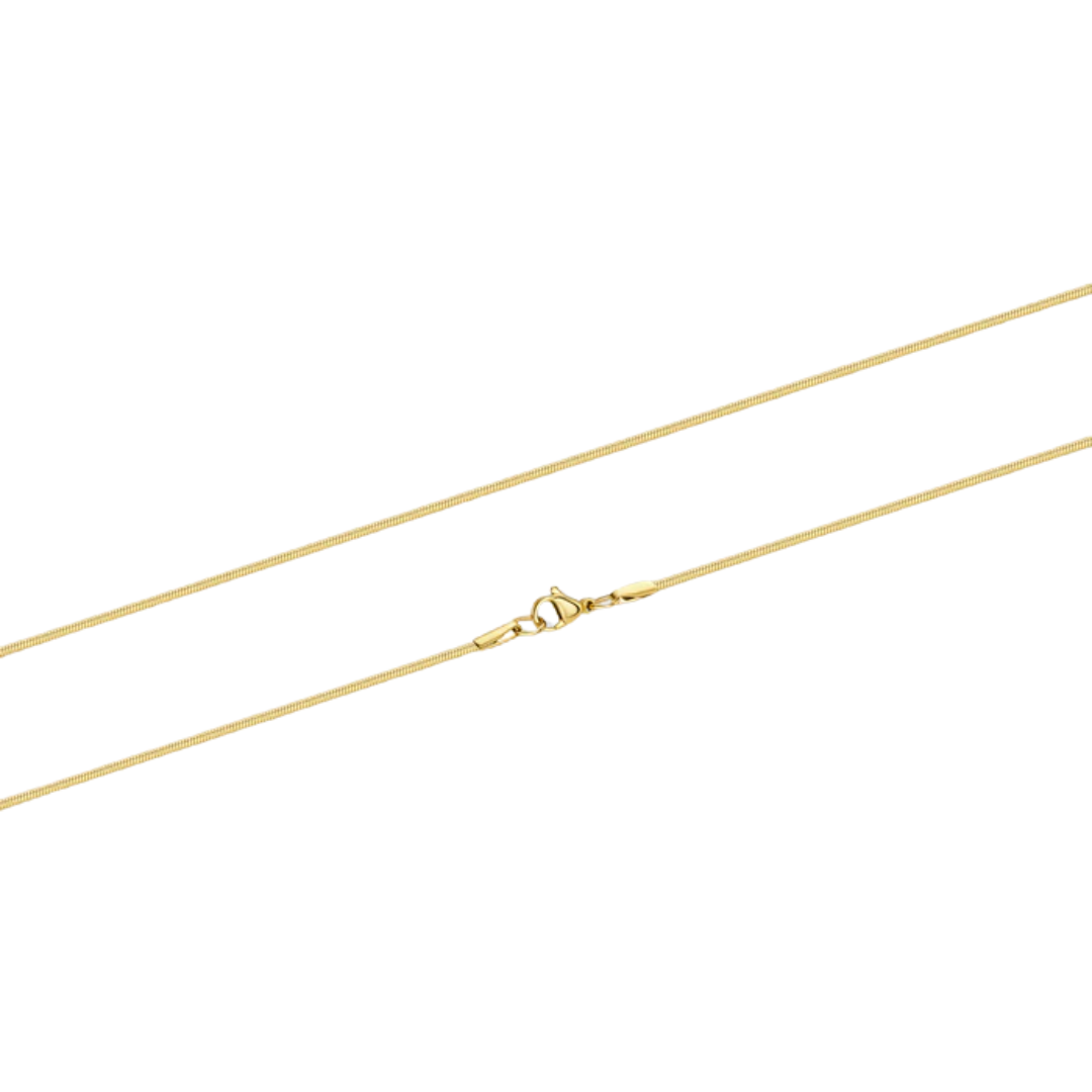 Flat Snake Chain (Gold) - 2mm