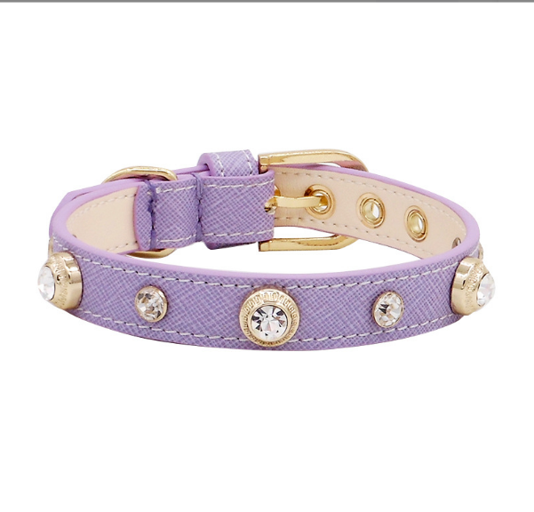 Luxury Dog Collar Bling