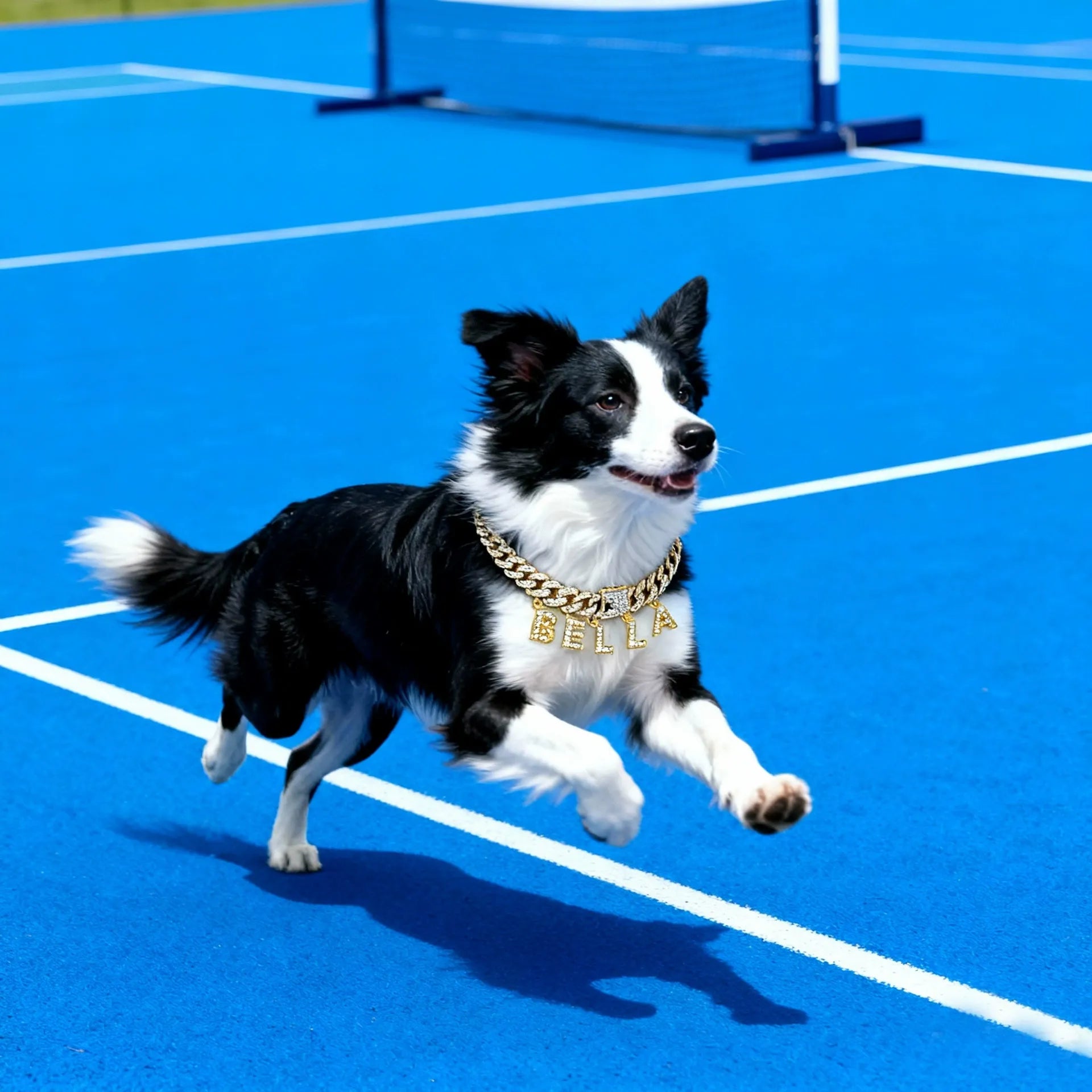 Custom Letter Cuban Chain Dog Chain